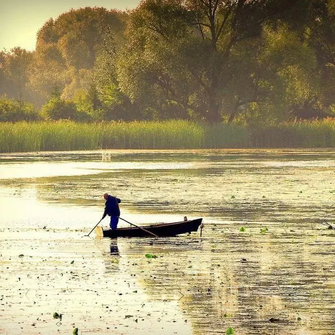 The Danube Delta